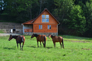 chata predni pohled